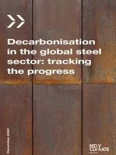 Steel front cover of report