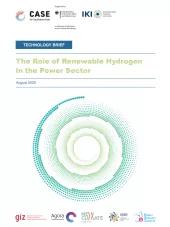 Technology brief: The role of renewable hydrogen in the power sector