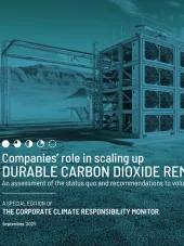 Companies’ role in scaling durable carbon dioxide removals