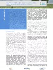 The graphic shows the cover page of the publication