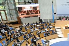 UNFCCC plenary