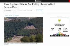 How Agrifood Giants Are Falling Short On Real Nature Risk