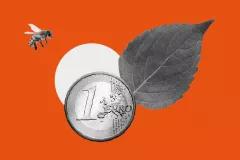 Framework for Country-Level Assessment of Article 2.1c