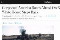 Corporate America Races Ahead On Net Zero As White House Steps Back