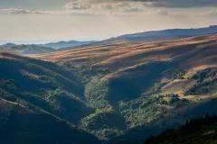 The graphic shows the cover page of the publication