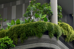 a modern building with plants and a lot of green climbing up and on the balconies
