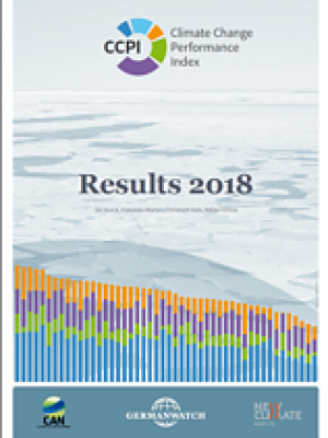 report cover, charts with a summary of index results