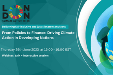 The Role Of International Climate Finance For Bridging The Low Carbon ...