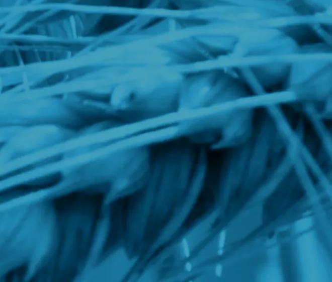 Corporate Climate Responsibility Monitor 2025: Food and agriculture sector